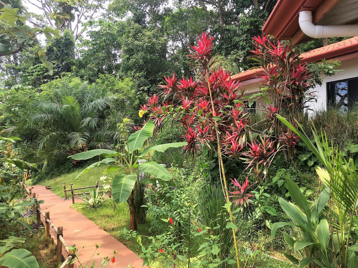 Casa Del Toucan Dominical Exterior photo