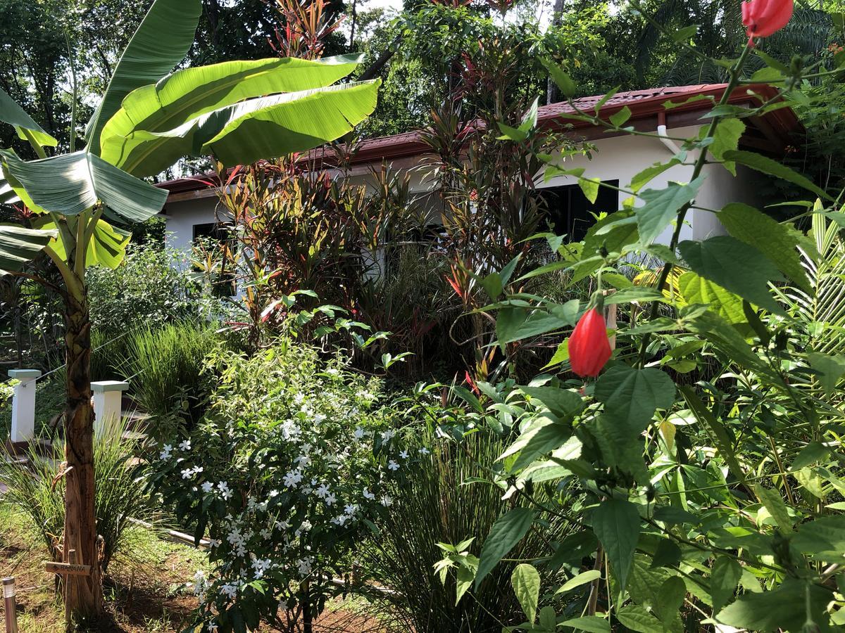 Casa Del Toucan Dominical Exterior photo